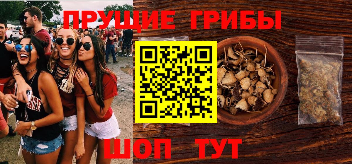Псилоцибиновые грибы Psilocybe Кировск
